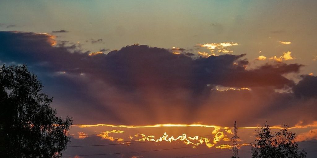 На границе Тульской и Калужской областей наблюдают массовый пролёт птиц
