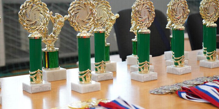 В Мелитополе прошел турнир по всестилевому карате