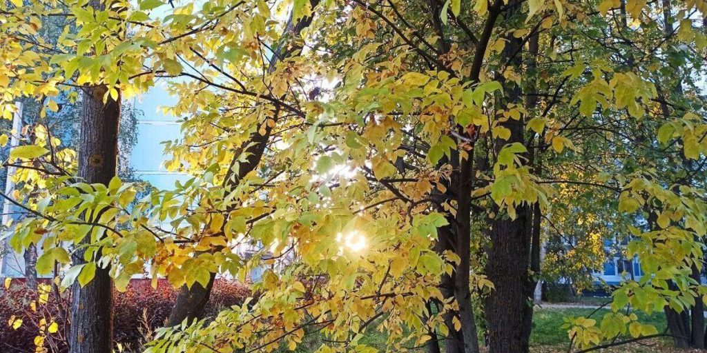 Gelate in arrivo nella regione di Ivanovo: cosa aspettarsi nella nuova settimana