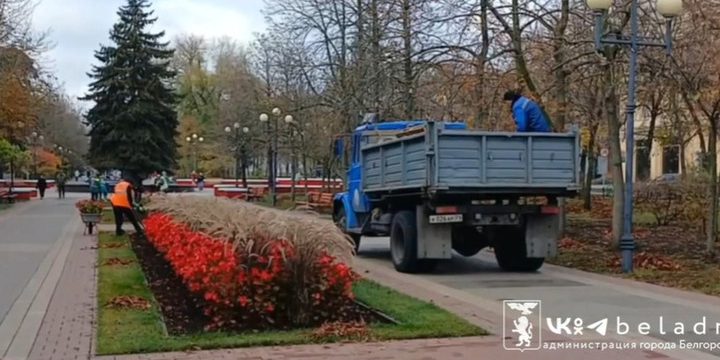 В Белгороде начали готовить к зиме деревья и клумбы