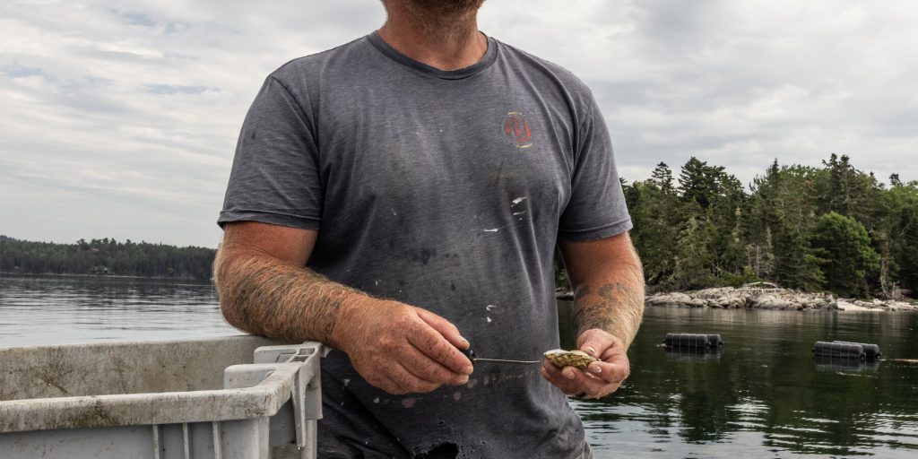 Maine U.S. Senate Candidate Apologizes for Tattoo With Nazi Links