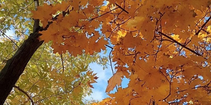 Tempesta Geomagnetica di Intensità 4: Previsioni e Possibili Conseguenze per il 15 Ottobre