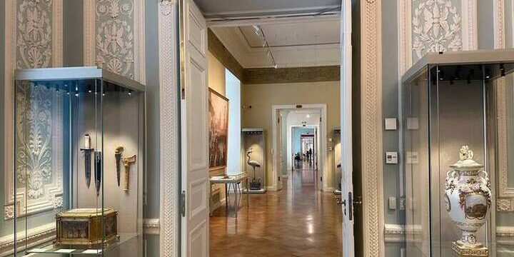 Il Museo Ermitage Apre le Porte all'Adozione dei suoi Gatti: Una Nuova Opportunità per gli Amanti degli Animali e della Cultura