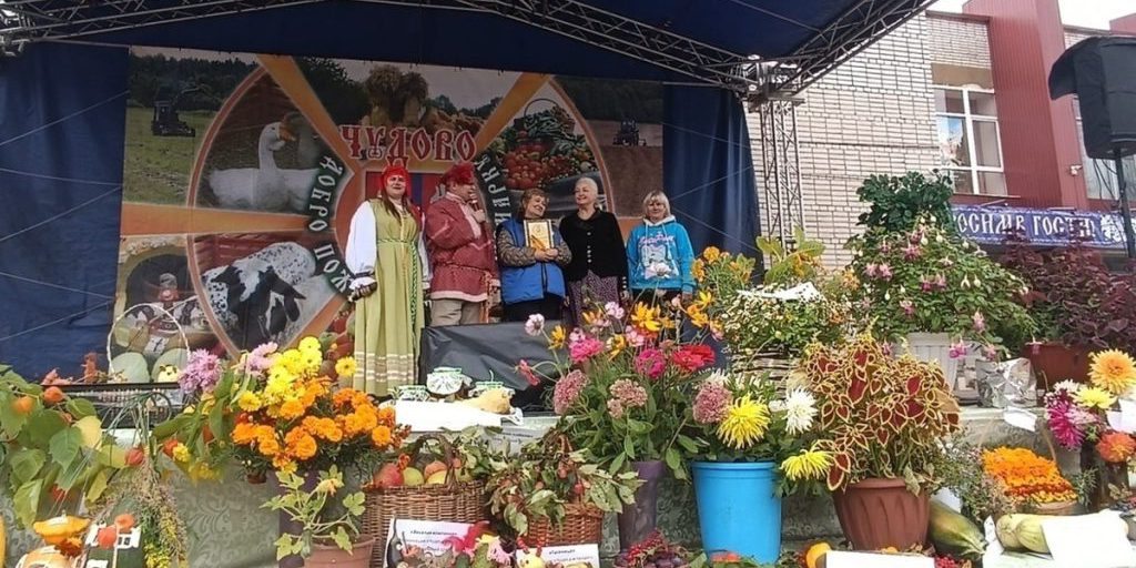 В Чудове осеннюю ярмарку совместили с диспансеризацией