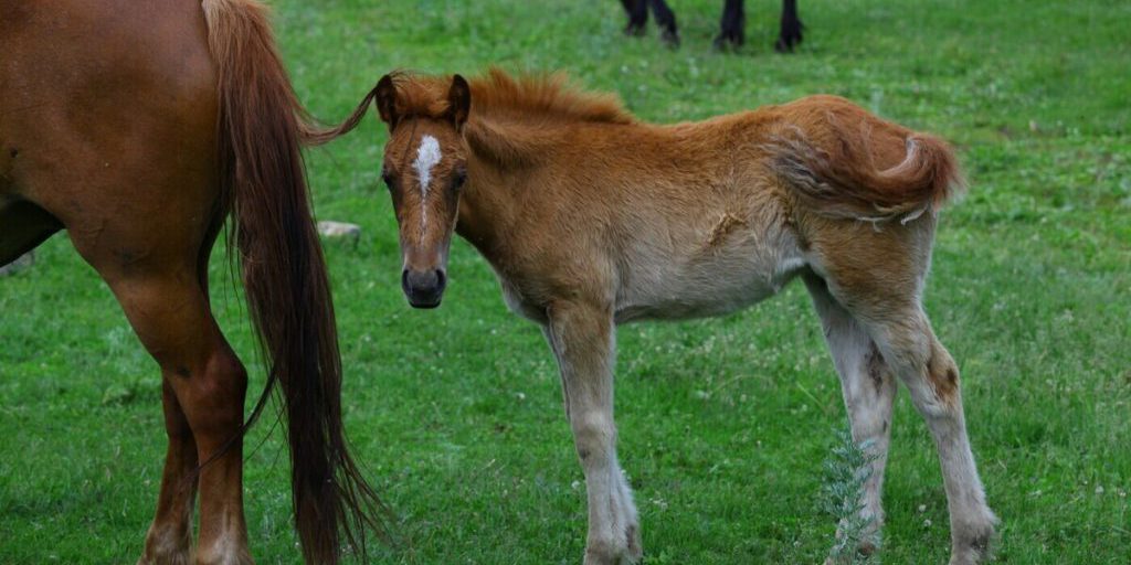 Приметы на Феофанов день: что нельзя делать 12 октября 2025 года