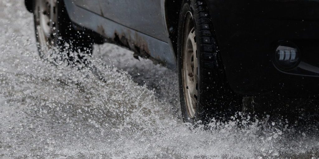 "Кукуруза": питомец автомобилиста с августа отказывается покинуть место аварии