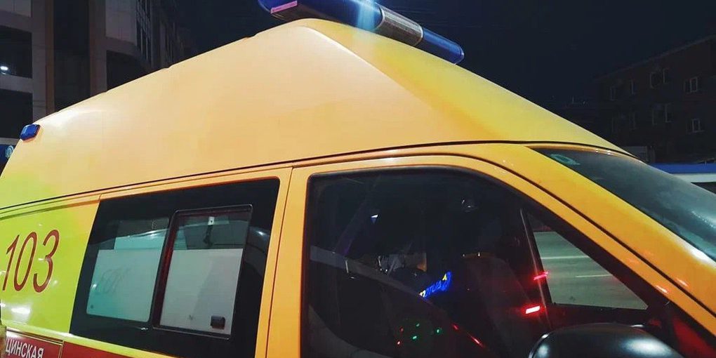 Соцсети: в Геленджике ребенок пострадал от укуса прокатной лошади