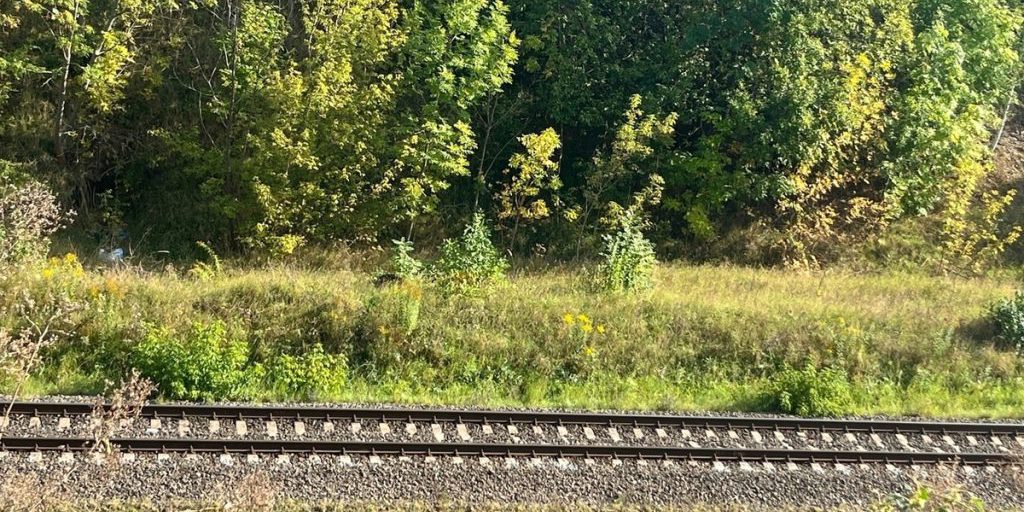 Nuovo Collegamento Ferroviario tra Crimea e Donbass: Sviluppi e Implicazioni per la Regione