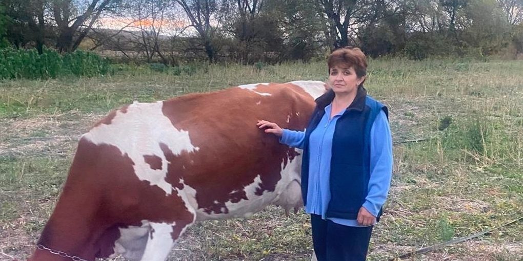 Белгородка занялась молочным бизнесом с помощью соцконтракта