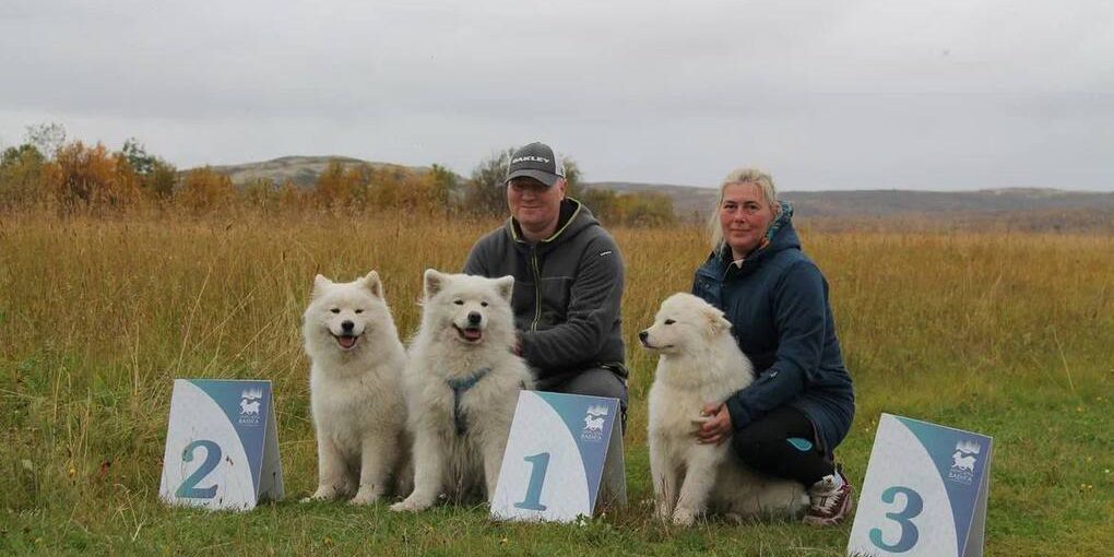 В Мурманской области наградили победителей соревнований по ездовому спорту