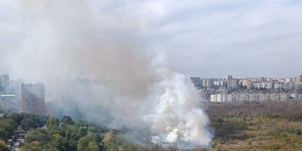 Пожар в роще Первомайского района Ростова потушили