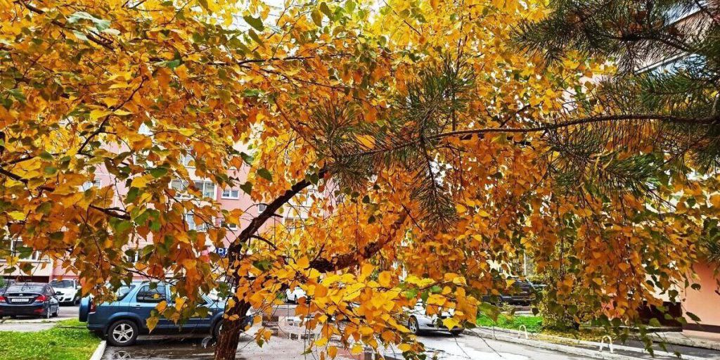 Владимирские синоптики сделали экстренное предупреждение