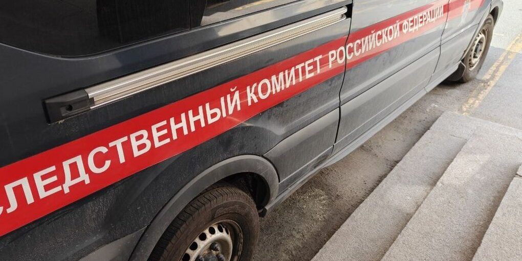 Следователи Петербурга устанавливают причины получения травмы стопы у девочки в метро