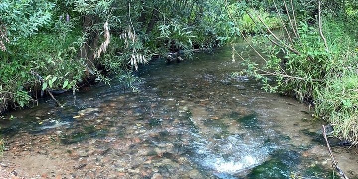 В республике продолжается реализация проекта «Родники Чувашии»