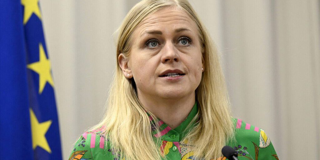 Стало известно, что главу ОБСЕ оштрафовали за посещение митинга в Грузии