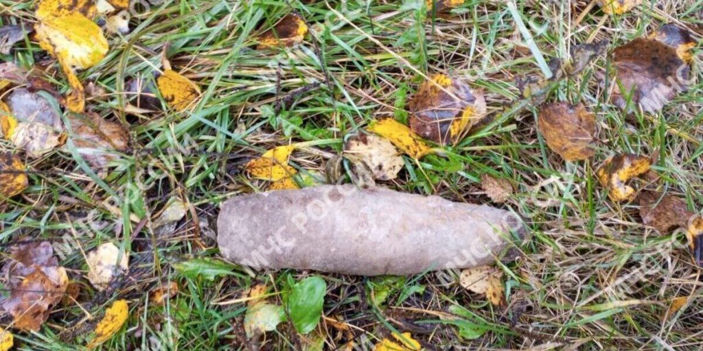 Брянские спасатели обезвредили артиллерийский снаряд времен ВОВ