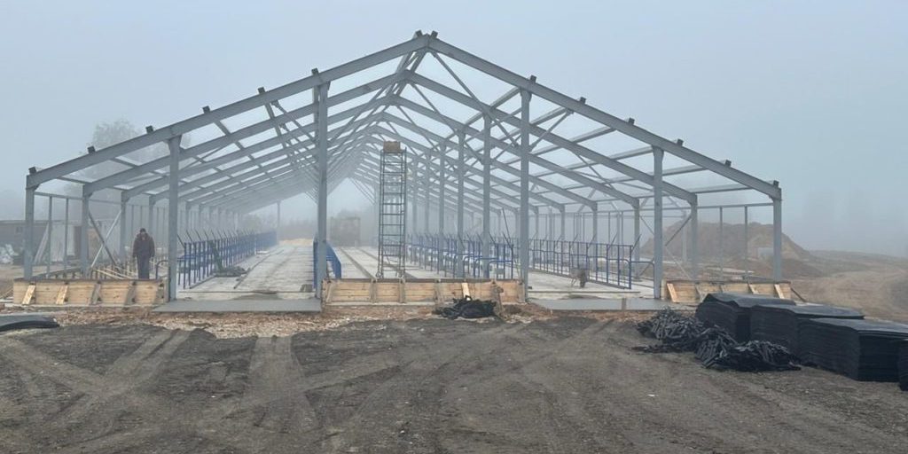 В Окуловском округе построят молочную ферму на 200 голов