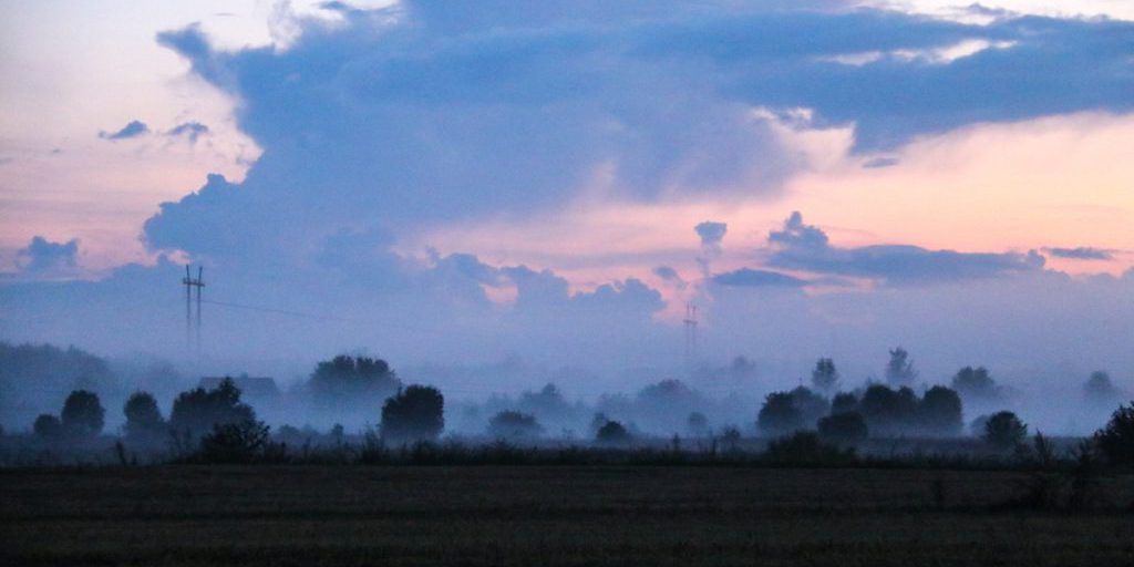 Пришедшее в Тверскую область тепло предвещает заморозки