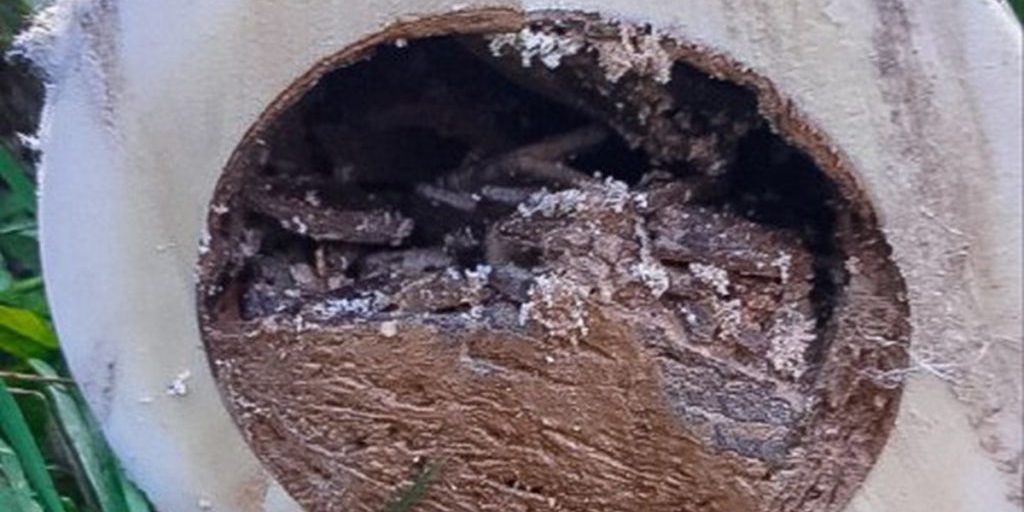 В Пскове магистральные трубы горячего водоснабжения оказались полностью забиты