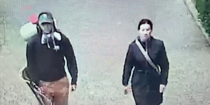 Информация о попытке вандалов испортить саженцы в Алуште оказалась ложной