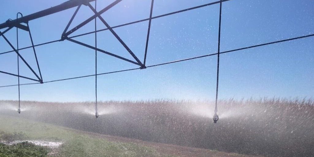 Мордовский округ наращивает потенциал аграриев благодаря современным технологиям орошения