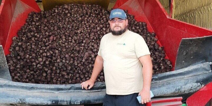 Аграрии Предгорья собрали 1,5 тысячи тонн моркови и свёклы