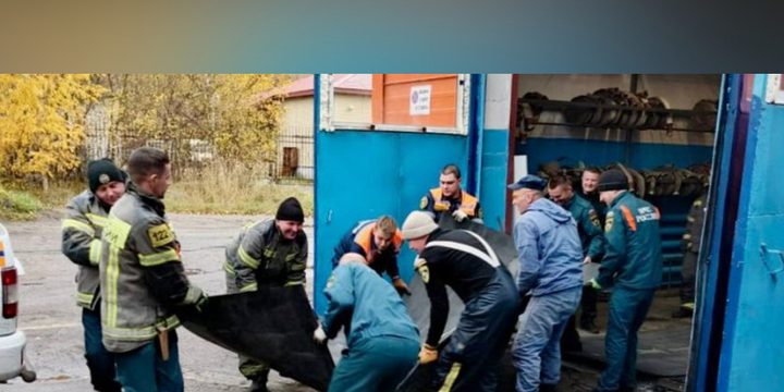 Specialisti della Carelia producono protezioni balistiche per partecipanti alla SVO in un lavoro manuale di precisione