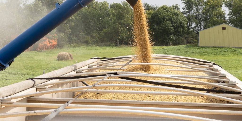 Soybean Farmers Find Relief in U.S. Trade Truce With China