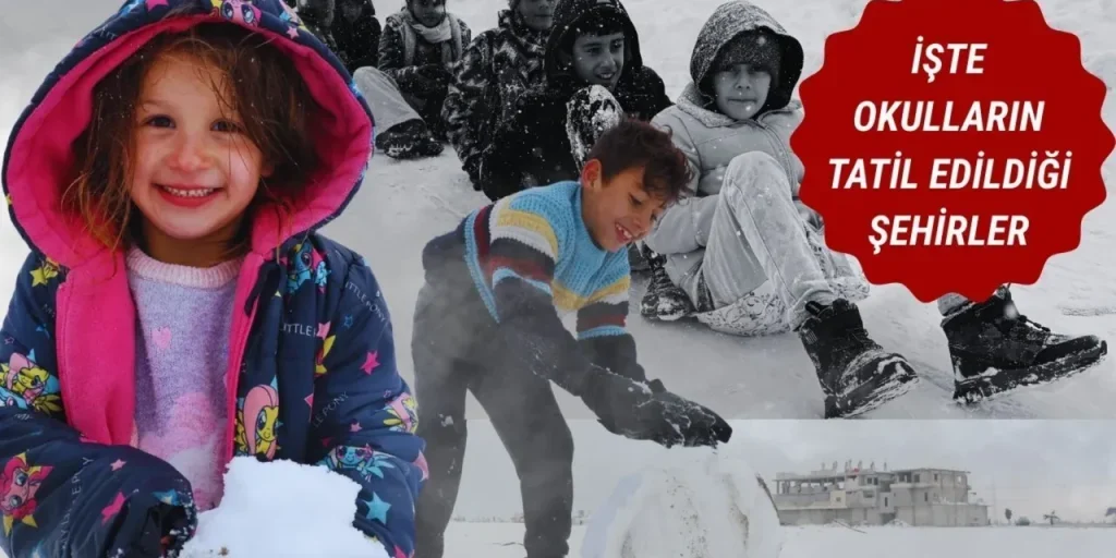 Notifica: nessun testo ricevuto per la revisione