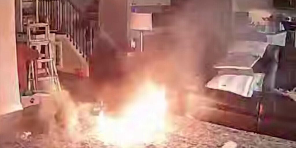 Пёс пожарного чуть не спалил его дом дотла