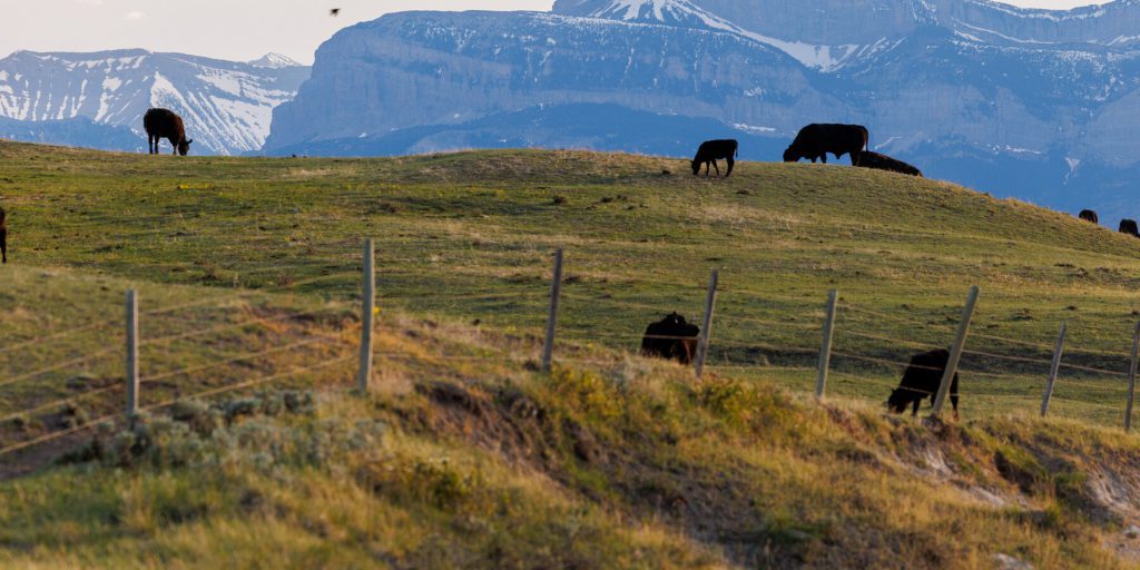 Republicans in Congress Show Signs of Angst Over Trump’s Trade War