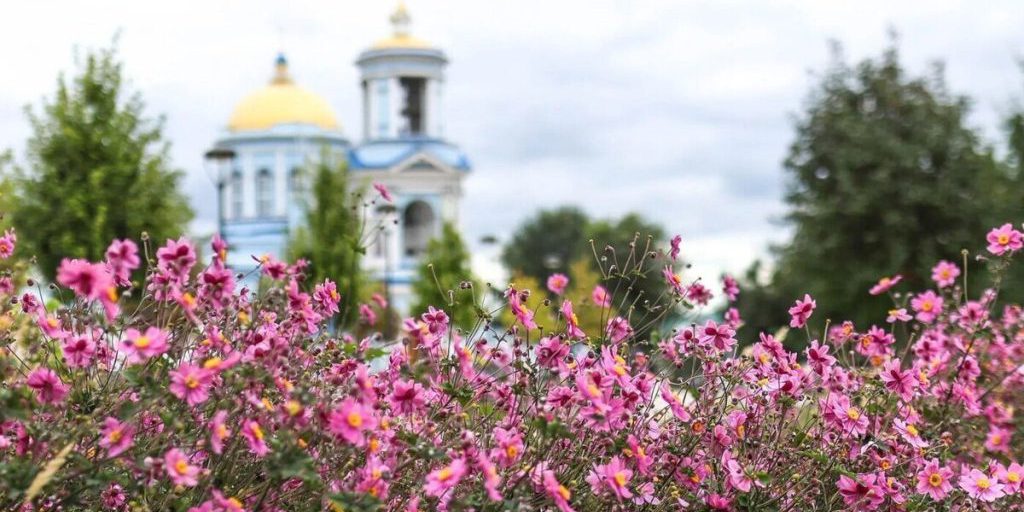 Жителей Воронежской области ждет тепло до 25 градусов
