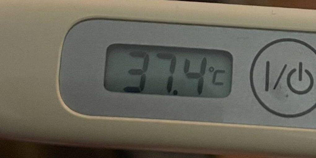 Aumento dei casi di influenza e ORVI nella regione di Leningrado: dati e misure preventive