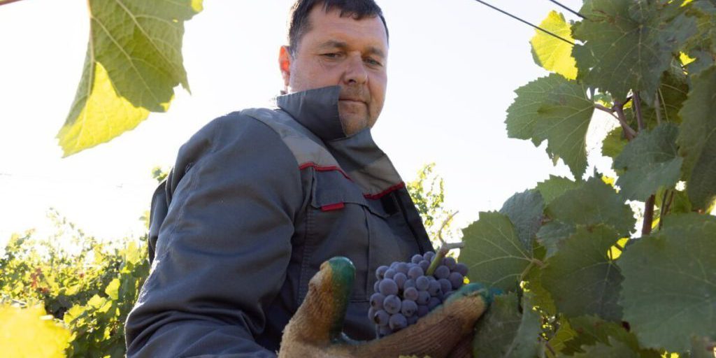 Господдержка аграриев Крыма в 2025 году составит 3,2 млрд рублей