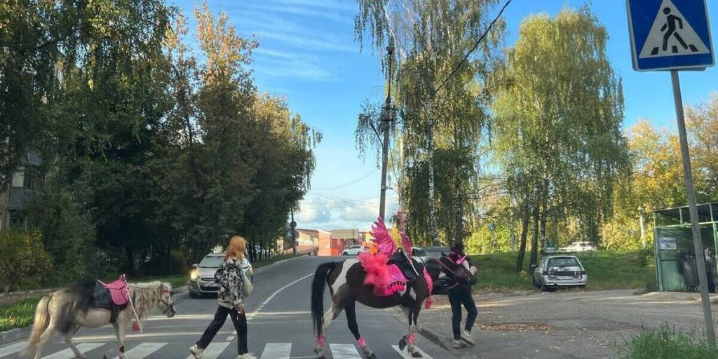Синоптики рассказали, когда в Подмосковье завершится бабье лето