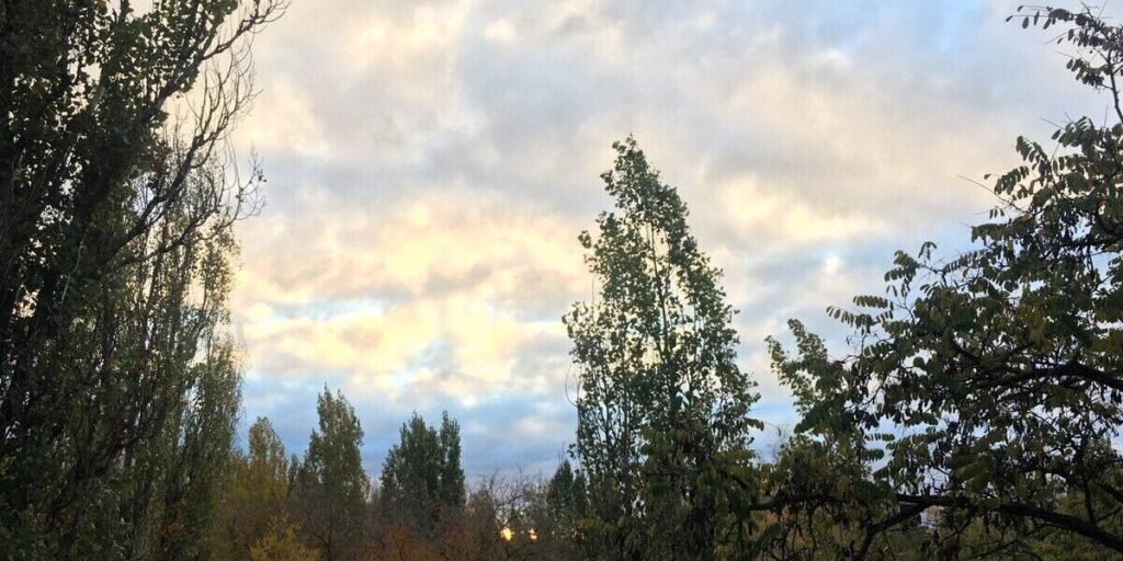 Ночью 15 октября в воронежском небе уничтожили 9 вражеских БПЛА