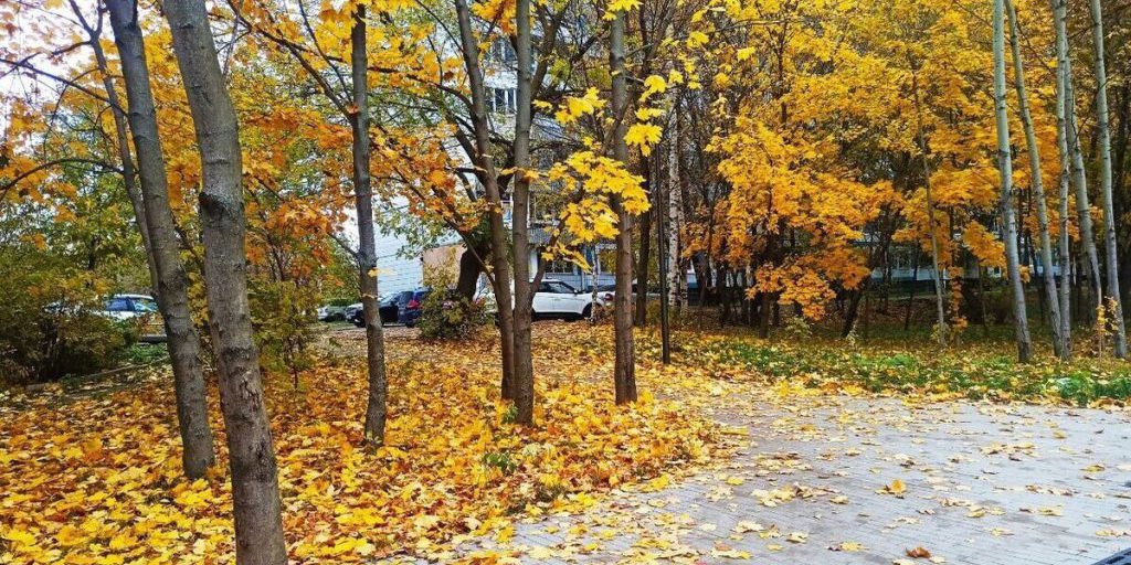 Опасное природное явление окутает Владимирскую область