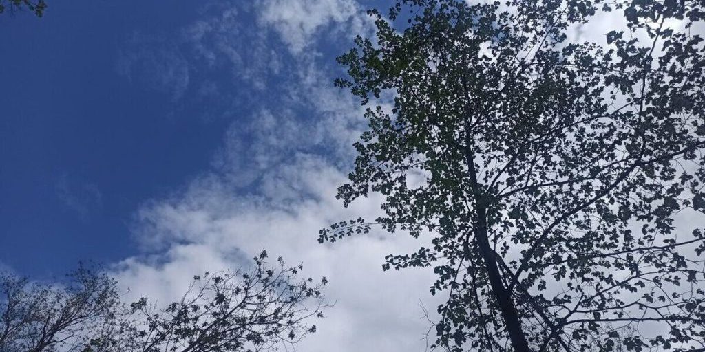 Костромскую область раскачает на температурных качелях