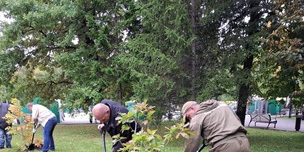Nuove Piante nel Parco Centrale di Novosibirsk: Un Passo verso la Tutela dell'Ambiente e la Biodiversità