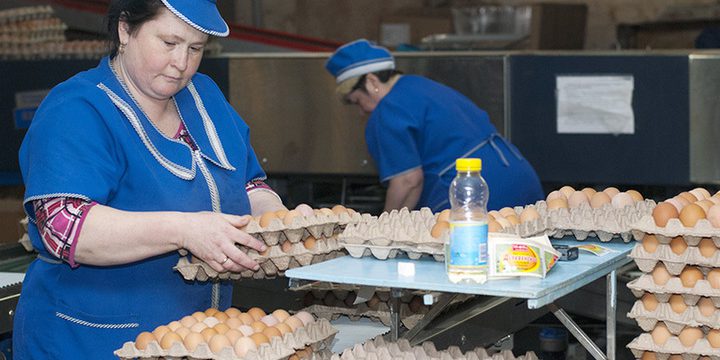 Ивановская область показала рост животноводческой продукции
