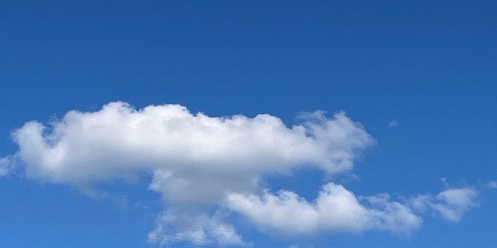 Орловское сельхозпредприятие ООО «Дубовицкое» установило абсолютный рекорд по урожаю сои в России