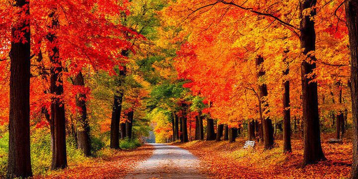 Прогноз погоды в Курске и области на 17 сентября: без осадков и до +25 градусов