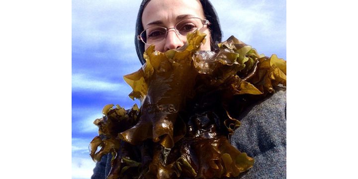 Nuova Impresa di Lavorazione delle Alghe in Carelia: Una Svolta verso lo Sviluppo Economico e Ambientale Sostenibile