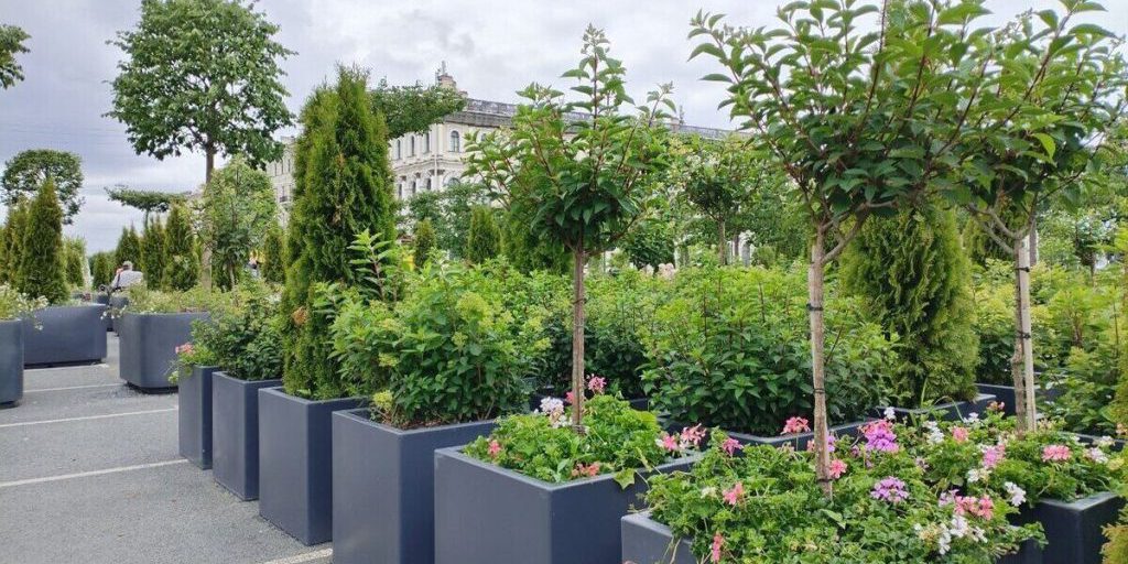 Заместитель руководителя Ботанического сада раскритиковал сады-трансформеры