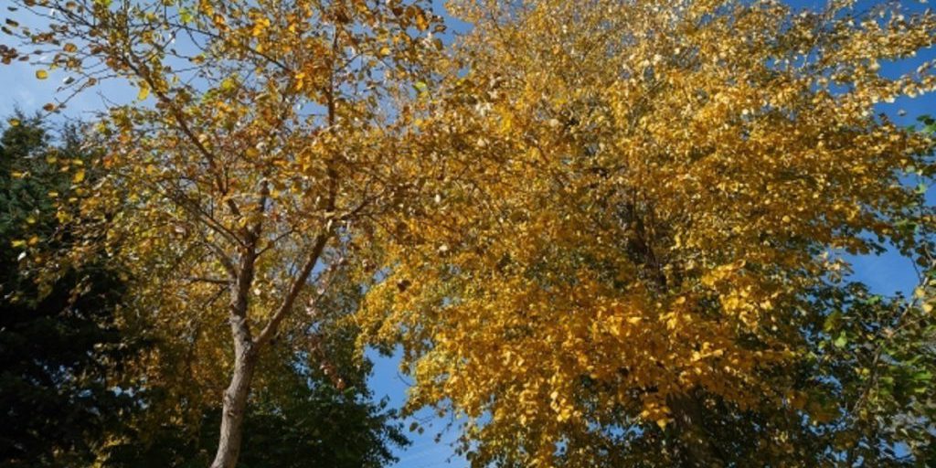 Temperature rigide e precipitazioni in arrivo nella regione di Volgograd: cosa aspettarsi e come prepararsi