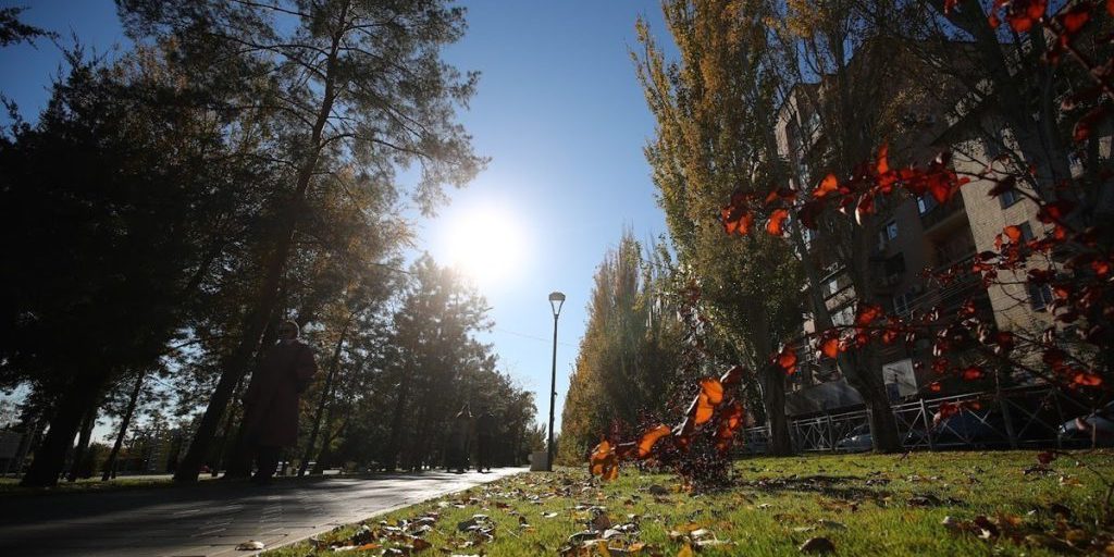 В Волгоградской области 14 октября ожидается до +14 ℃