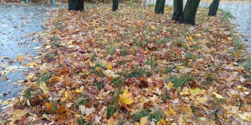 Над Владимирской областью сгущаются тучи