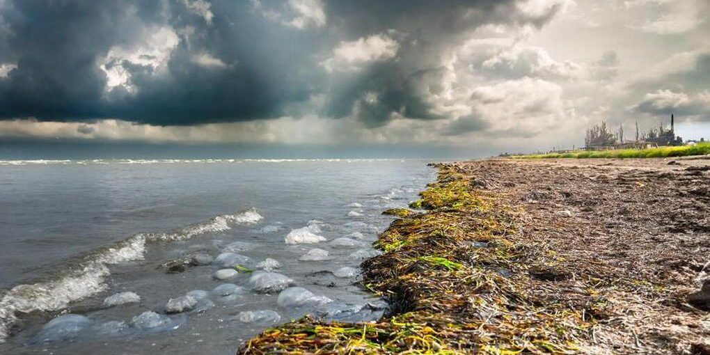 Previsioni Meteo per la Regione di Cherson: Temperature Elevate e Possibili Temporali