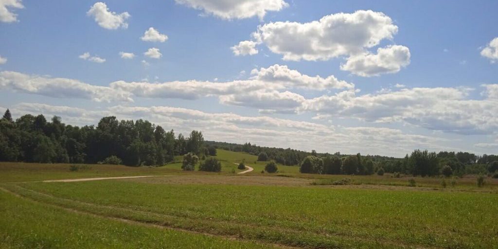 "Ragazzo ritrovato vivo nel bosco: le circostanze del suo smarrimento e l'importanza della sicurezza dei bambini"