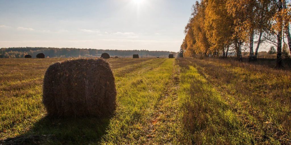 La Festa di Haritina in Russia: Una Tradizione che Segna la Fine dei Lavori Agricoli e l'Inizio di un Nuovo Ciclo di Attività Domestiche